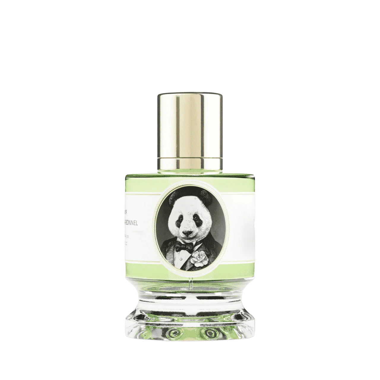 Zoologist Panda