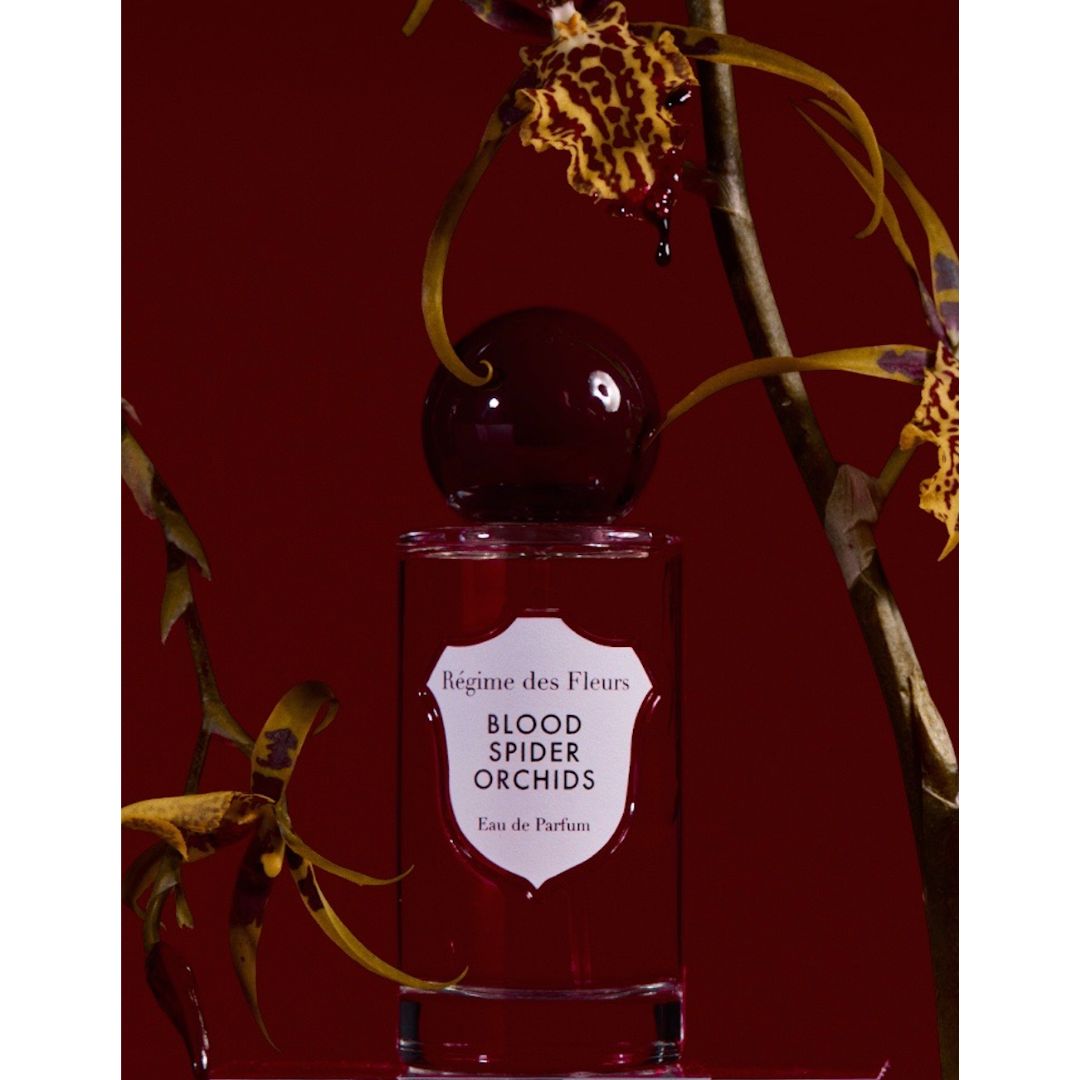 Blood Spider Orchids