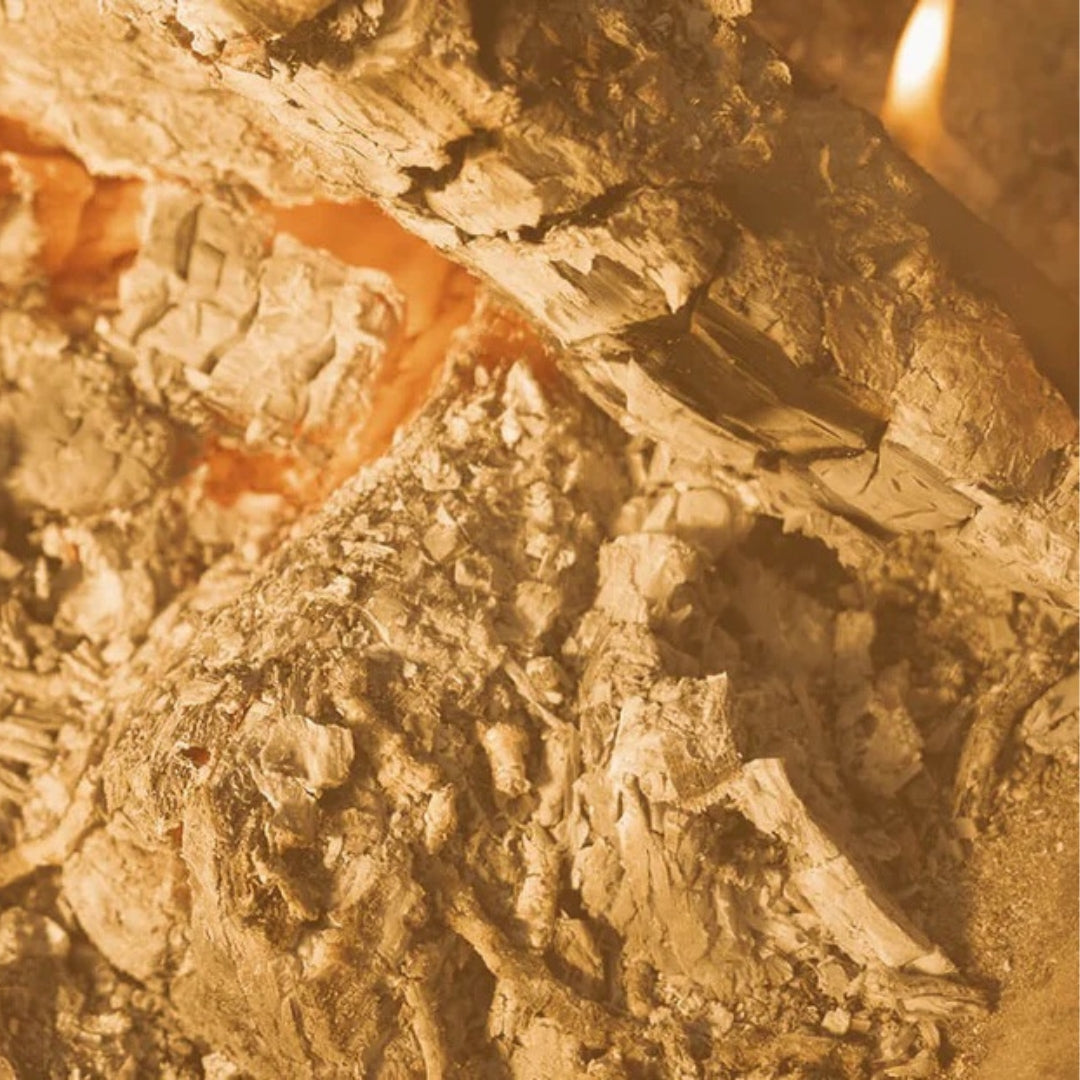 Burrow