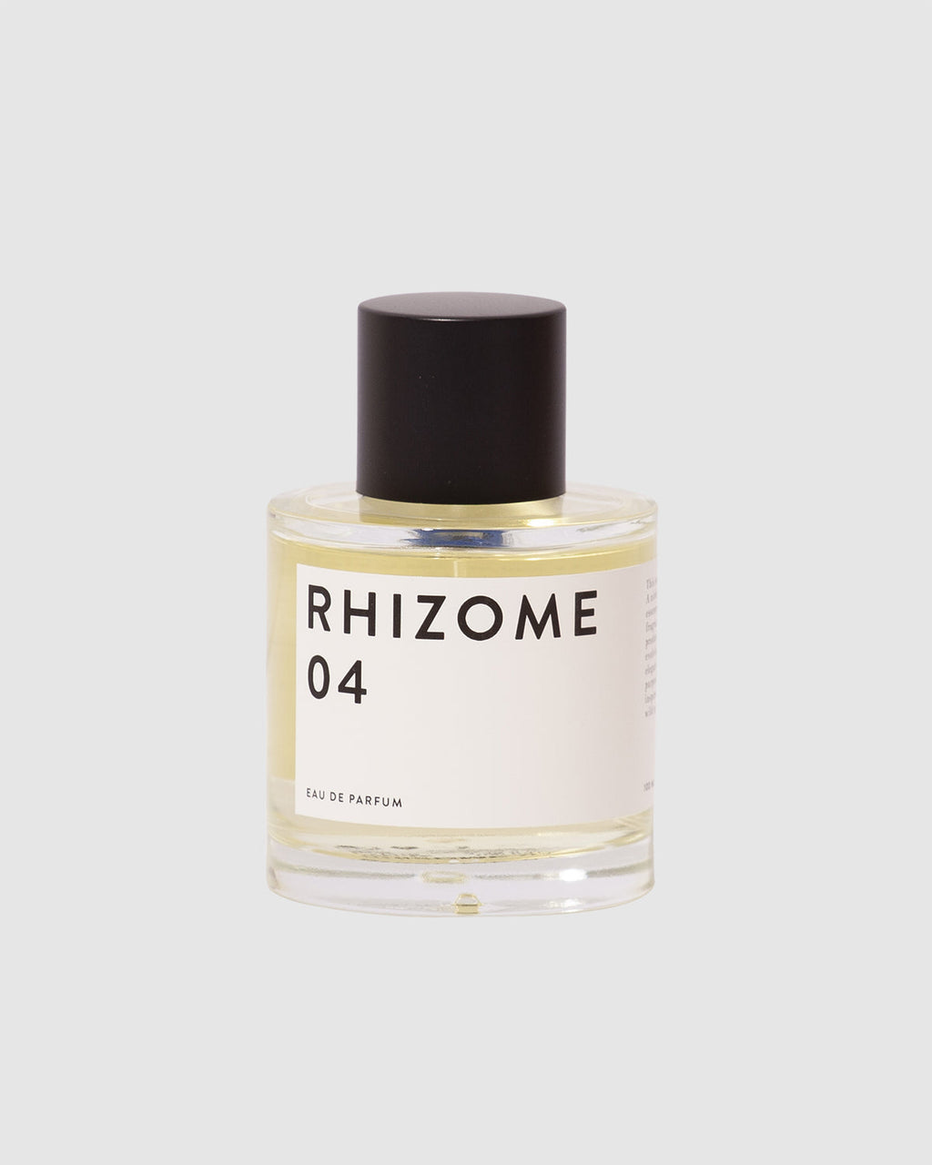 Rhizome 04