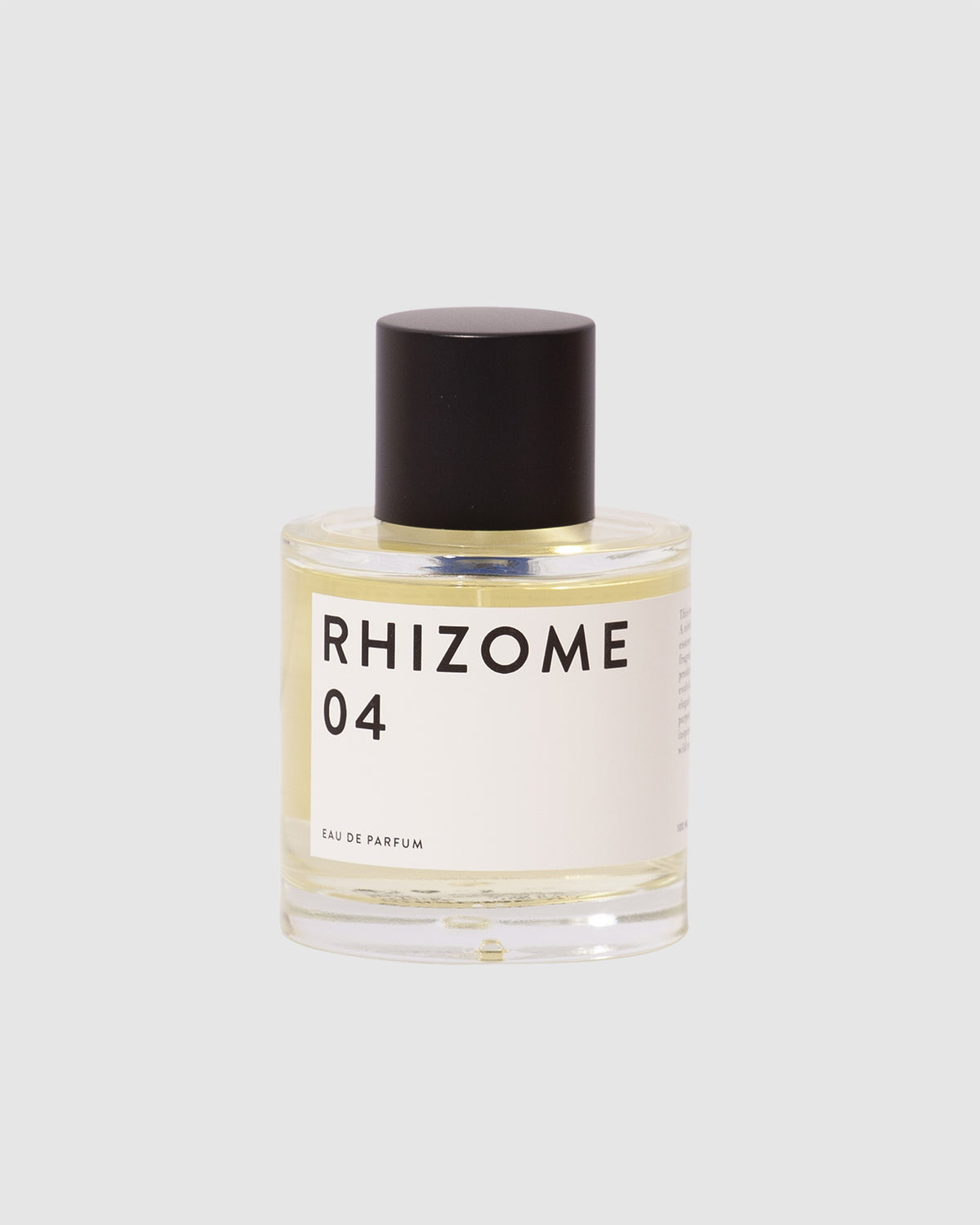 Rhizome 04
