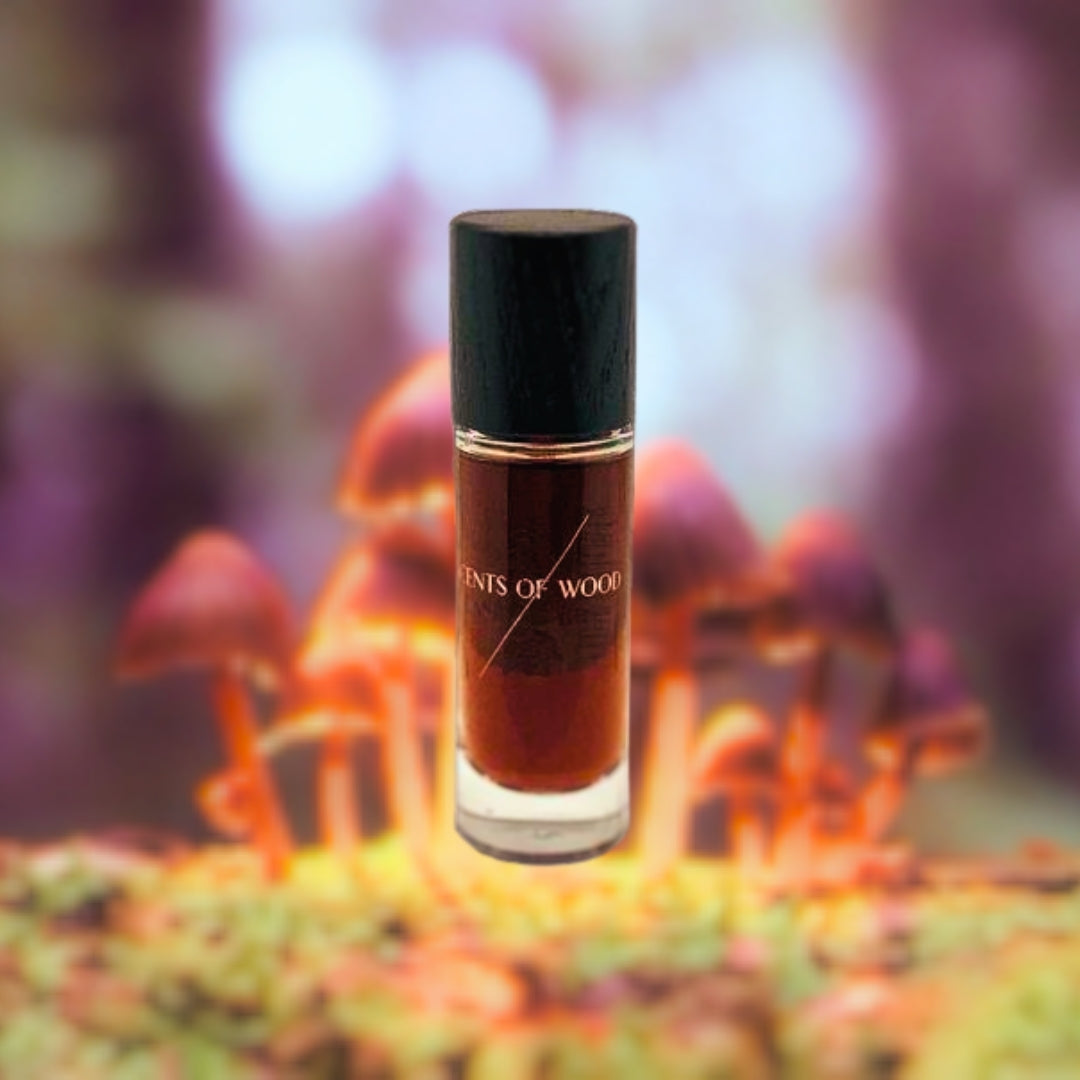Mycelium in Chestnut