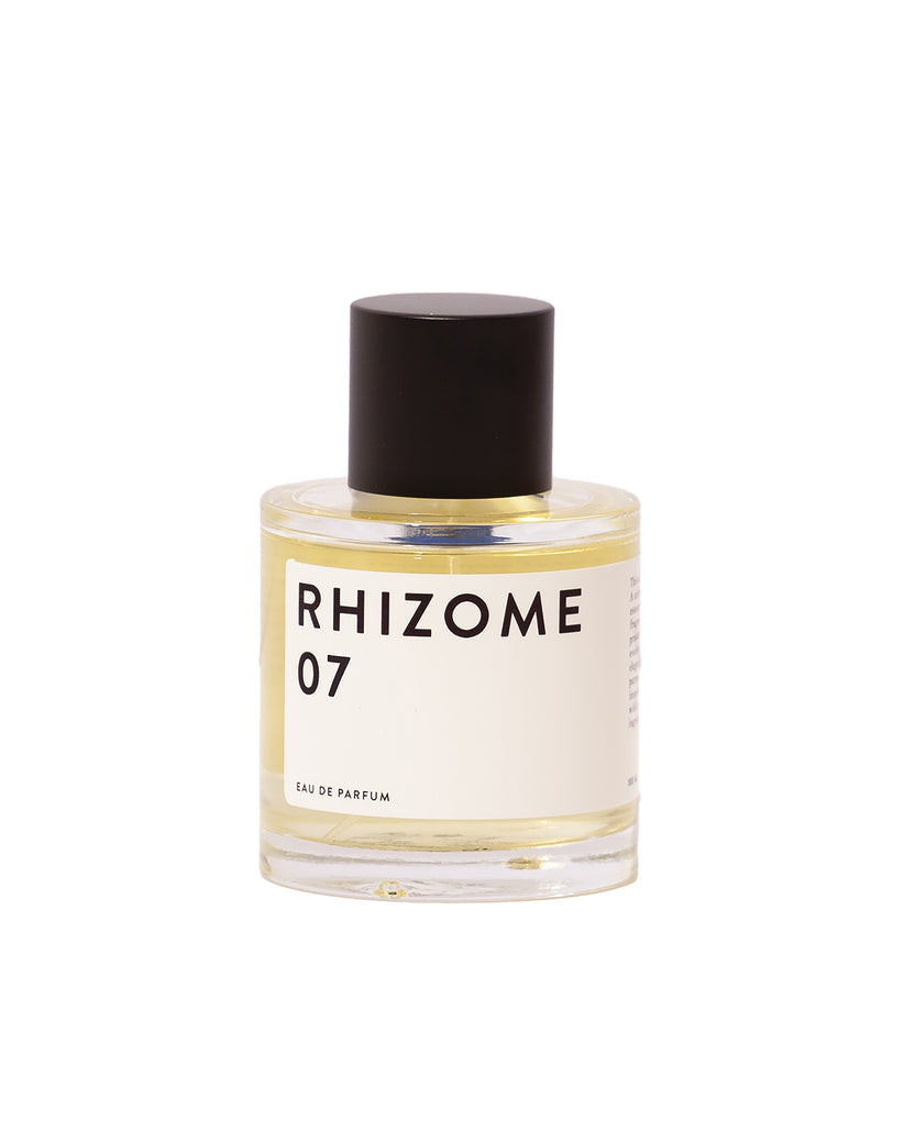 Rhizome 07